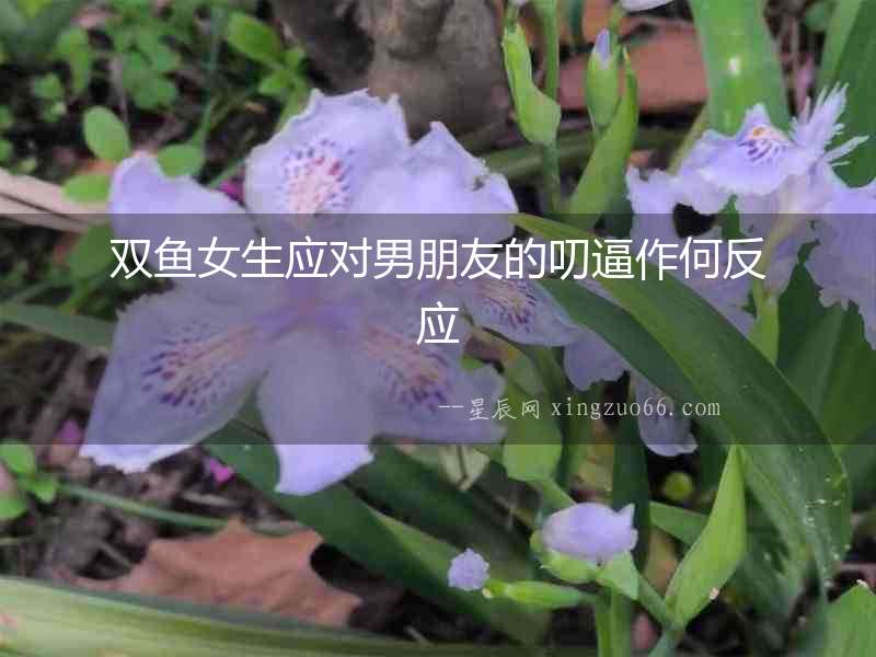 雙魚(yú)女生應(yīng)對(duì)男朋友的叨逼作何反應(yīng)