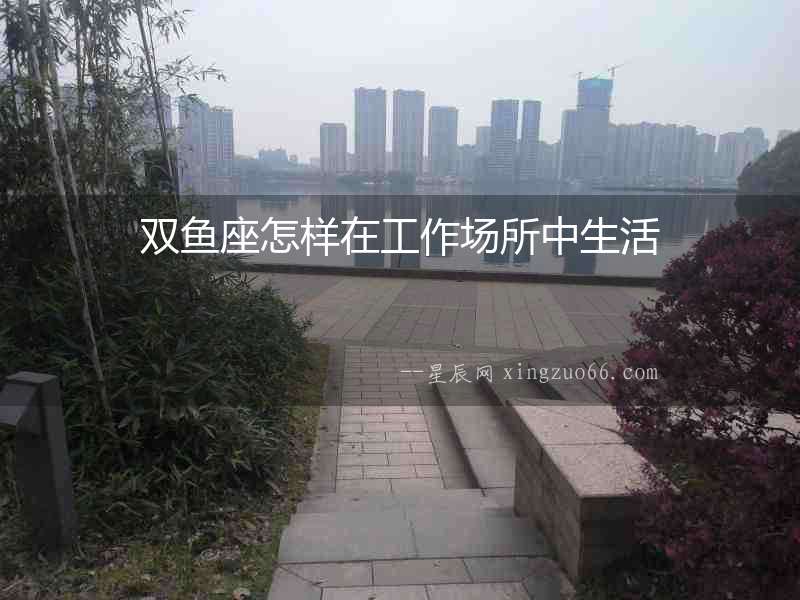雙魚座怎樣在工作場所中生活