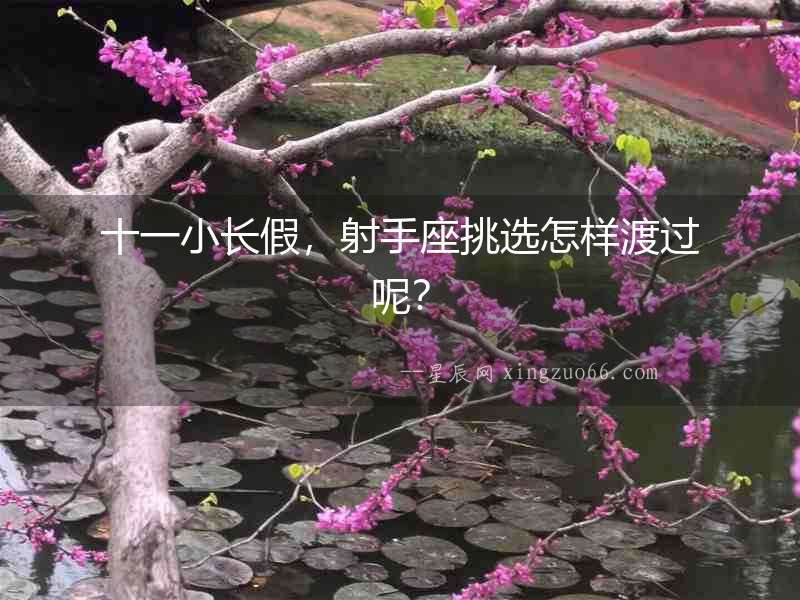 十一小長假，射手座挑選怎樣渡過呢？