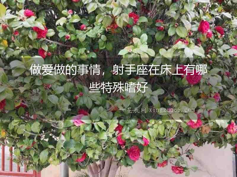 做愛做的事情，射手座在床上有哪些特殊嗜好