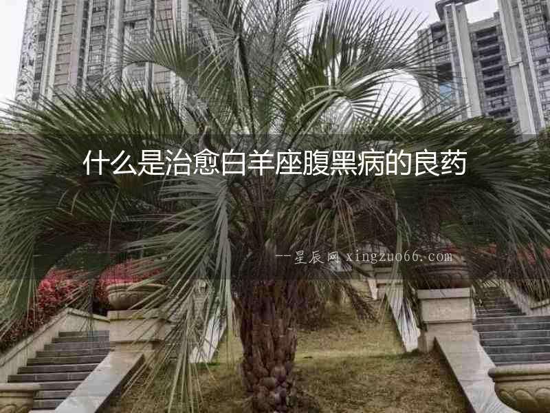 什么是治愈白羊座腹黑病的良藥