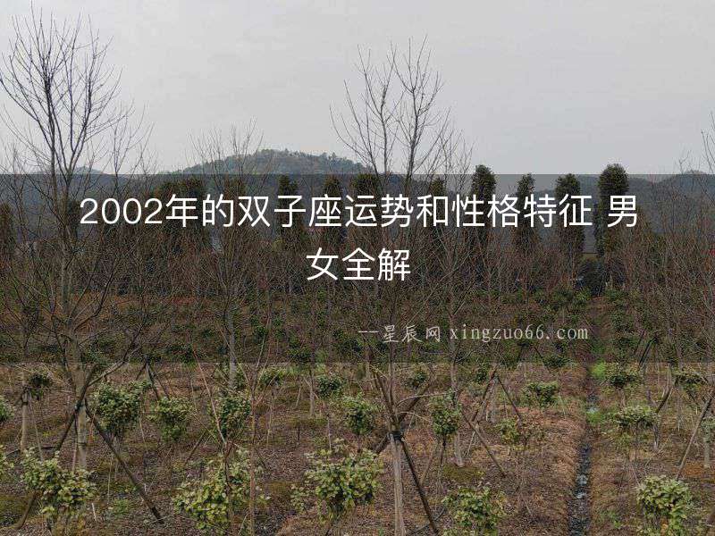 2002年的雙子座運勢和性格特征 男女全解