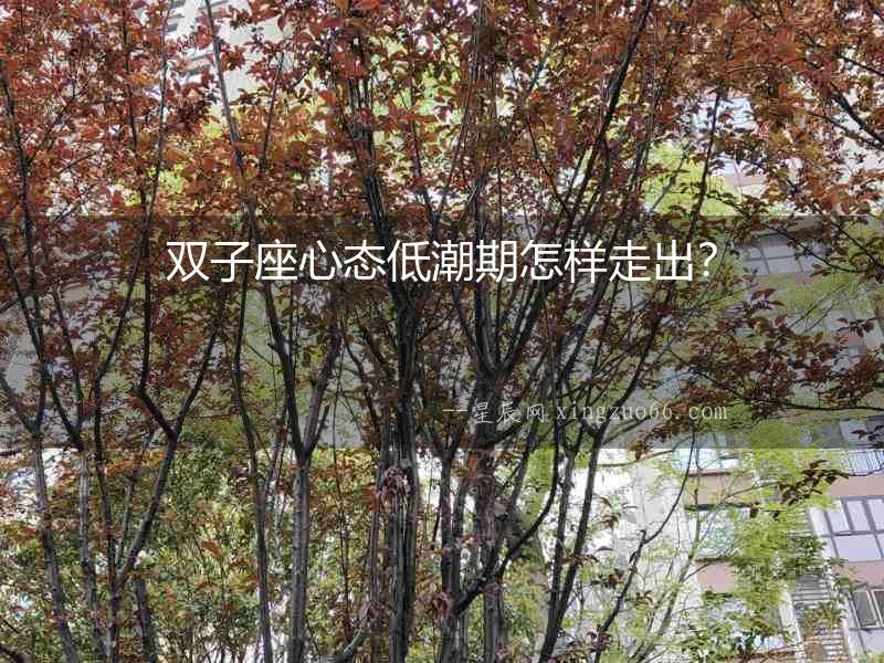 雙子座心態低潮期怎樣走出？