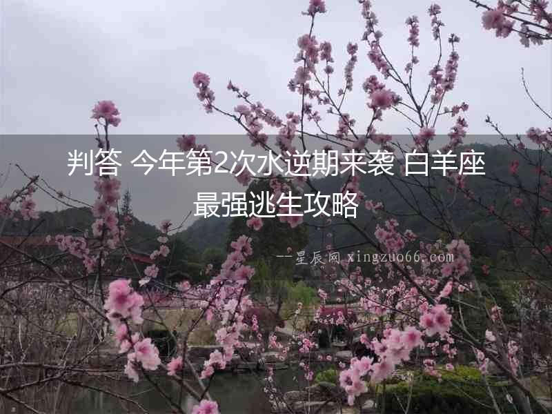 判答 今年第2次水逆期來襲 白羊座最強逃生攻略
