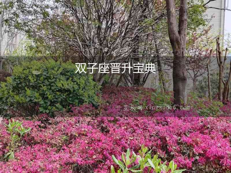 雙子座晉升寶典