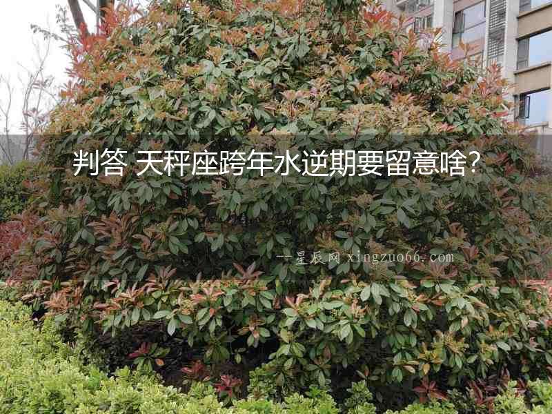 判答 天秤座跨年水逆期要留意啥？