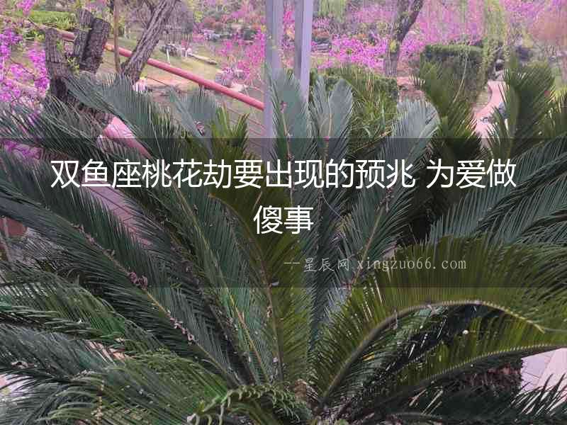 雙魚座桃花劫要出現的預兆 為愛做傻事