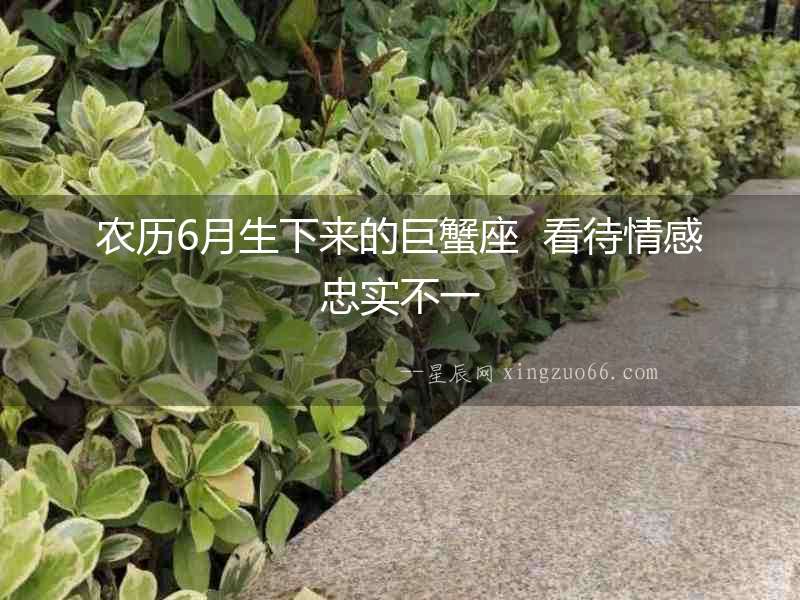 農歷6月生下來的巨蟹座  看待情感忠實不一