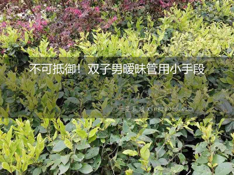 不可抵御！雙子男曖昧管用小手段