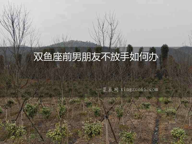 雙魚座前男朋友不放手如何辦
