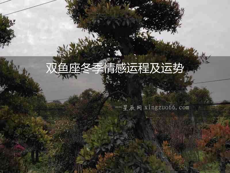 雙魚座冬季情感運程及運勢
