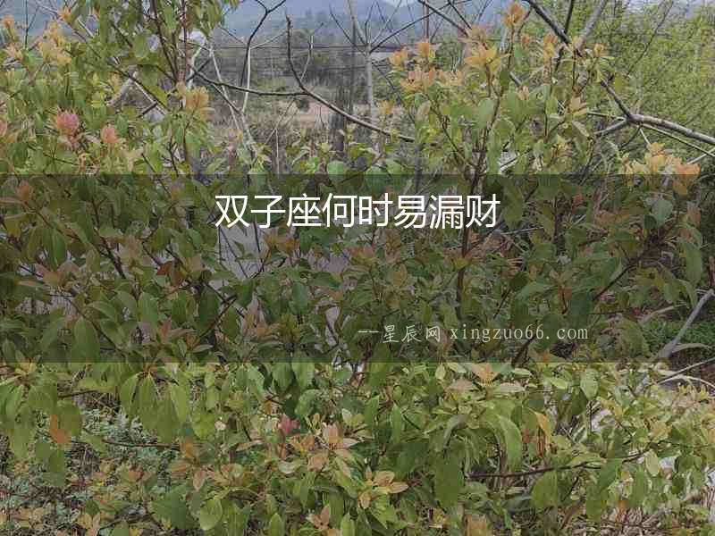 雙子座何時易漏財