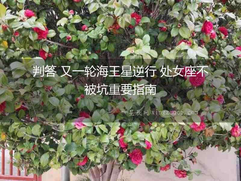 判答 又一輪海王星逆行 處女座不被坑重要指南