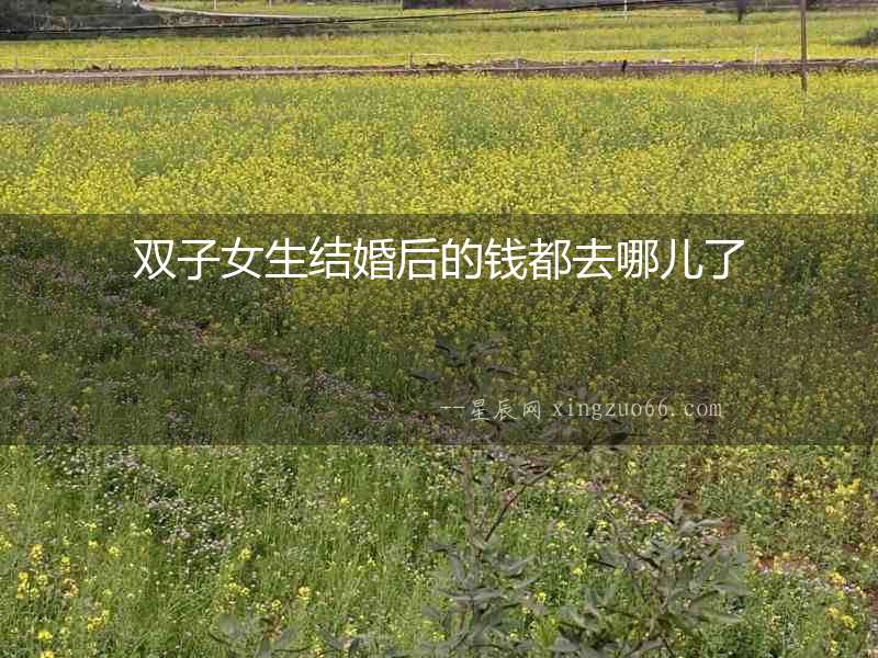 雙子女生結婚后的錢都去哪兒了