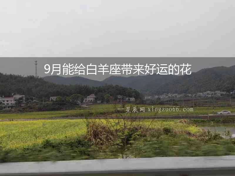 9月能給白羊座帶來好運的花