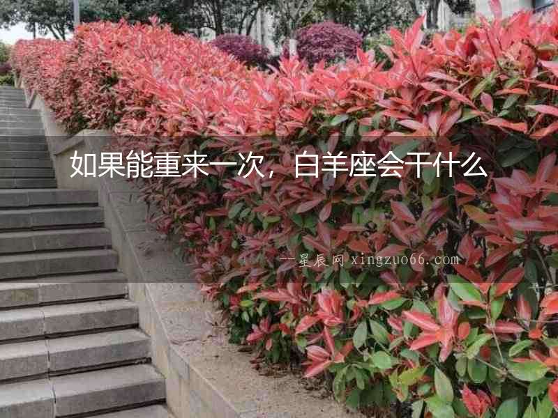 如果能重來一次，白羊座會干什么