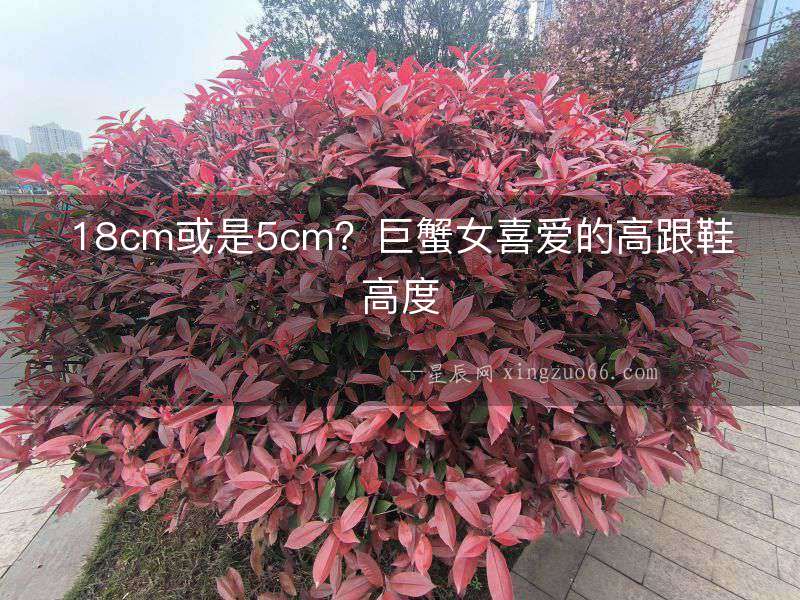 18cm或是5cm？巨蟹女喜愛的高跟鞋高度