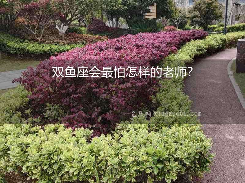 雙魚座會最怕怎樣的老師？