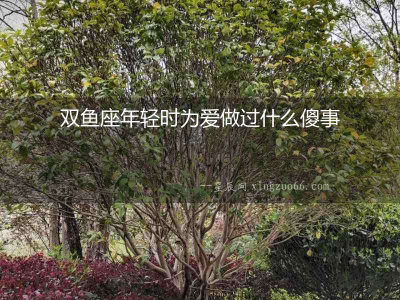 雙魚座年輕時為愛做過什么傻事