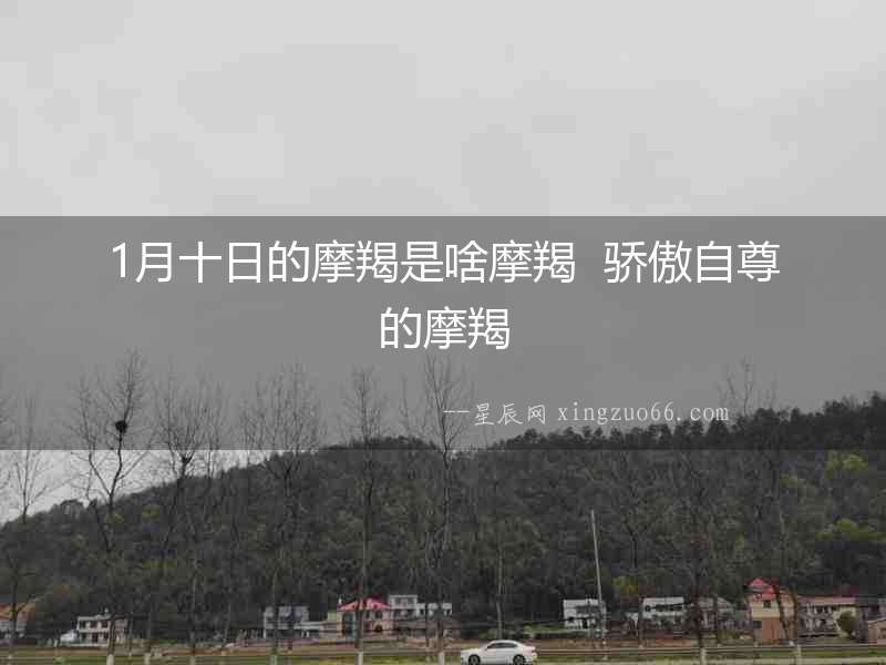 1月十日的摩羯是啥摩羯  驕傲自尊的摩羯
