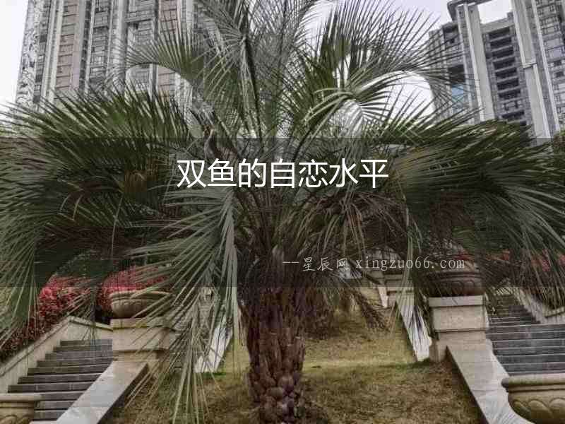 雙魚的自戀水平