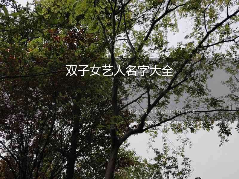 雙子女藝人名字大全