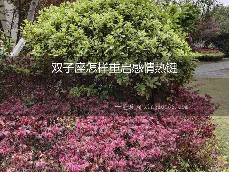 雙子座怎樣重啟感情熱鍵
