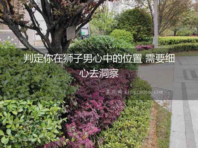 判定你在獅子男心中的位置 需要細心去洞察