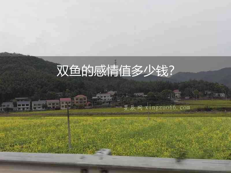 雙魚的感情值多少錢？