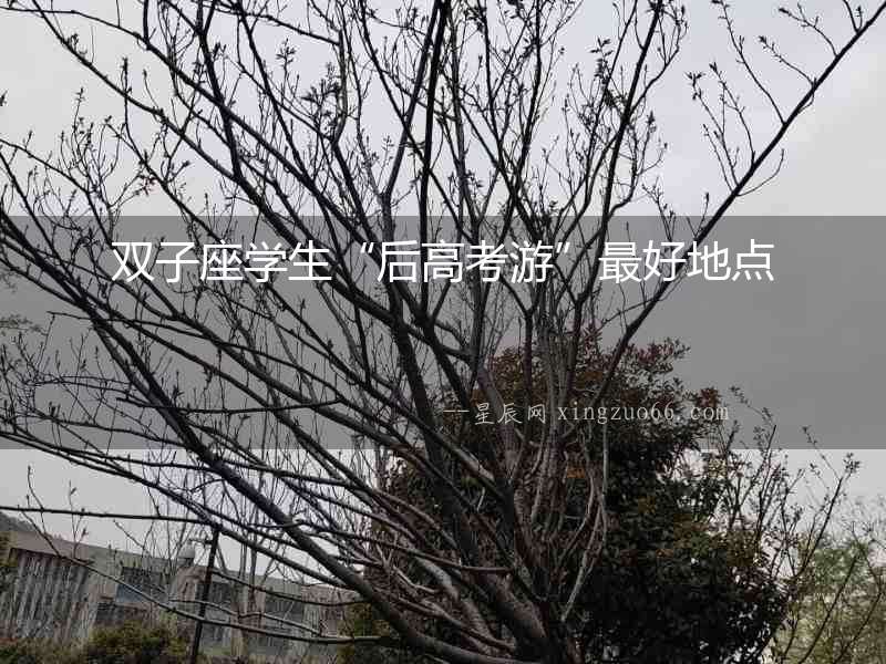 雙子座學生“后高考游”最好地點
