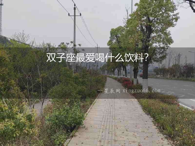 雙子座最愛喝什么飲料？