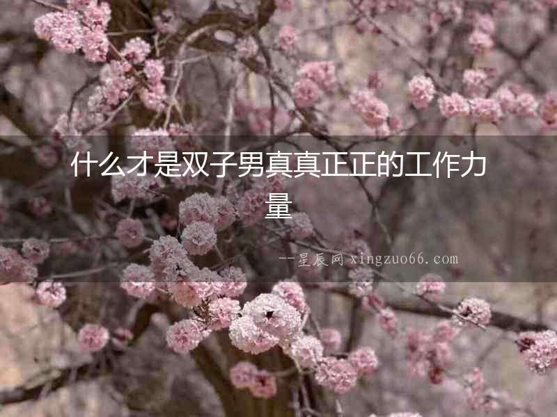 什么才是雙子男真真正正的工作力量