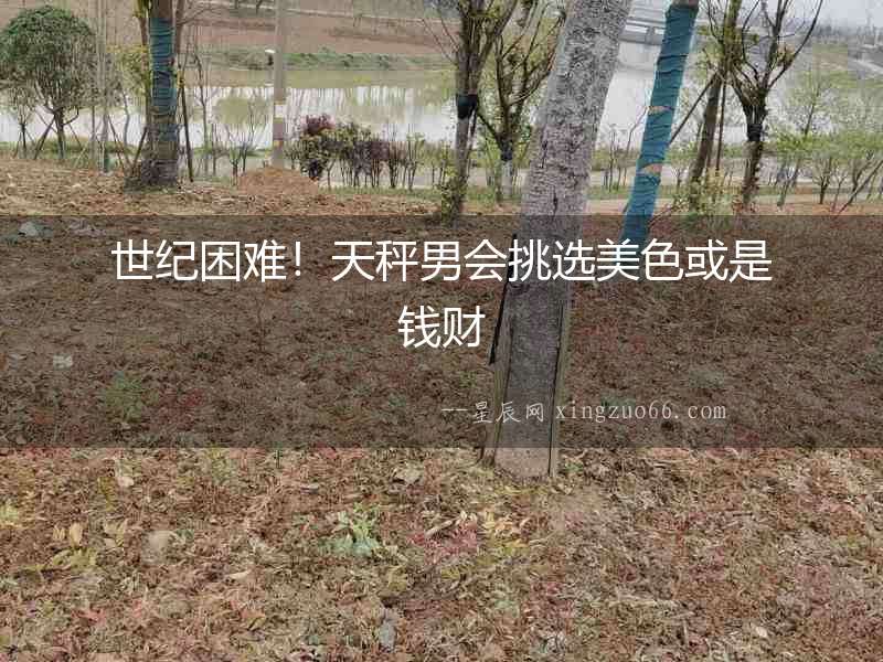 世紀困難！天秤男會挑選美色或是錢財