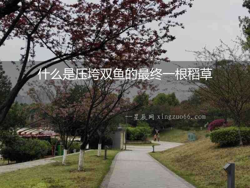 什么是壓垮雙魚的最終一根稻草