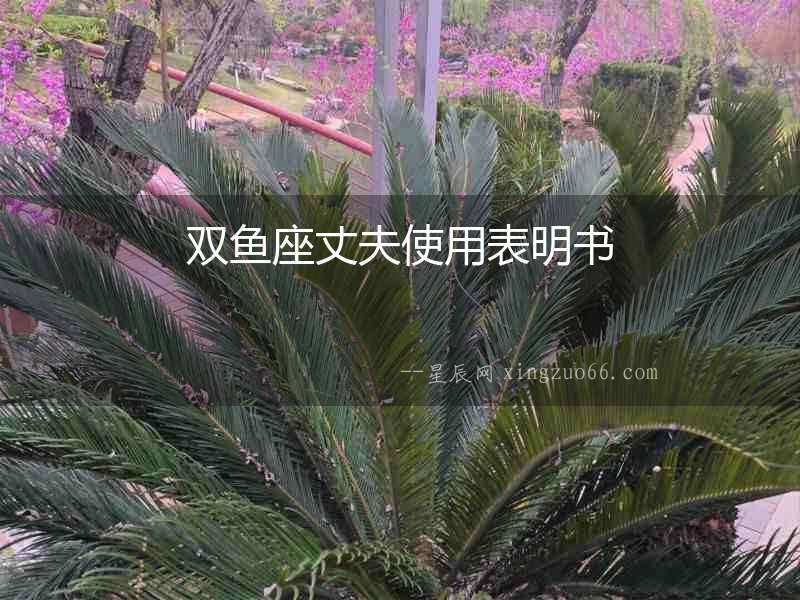 雙魚座丈夫使用表明書
