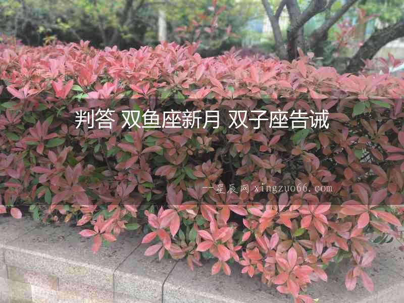 判答 雙魚座新月 雙子座告誡