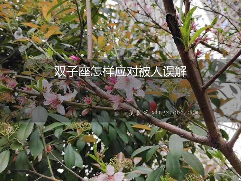 雙子座怎樣應對被人誤解