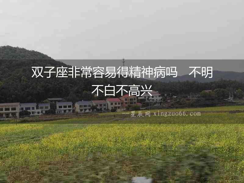 雙子座非常容易得精神病嗎   不明不白不高興