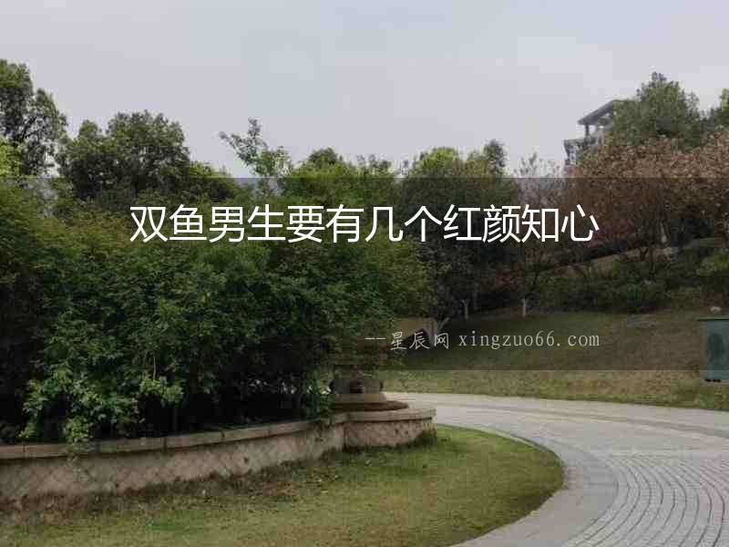 雙魚男生要有幾個紅顏知心