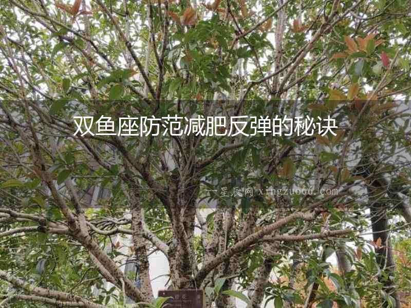 雙魚座防范減肥反彈的秘訣