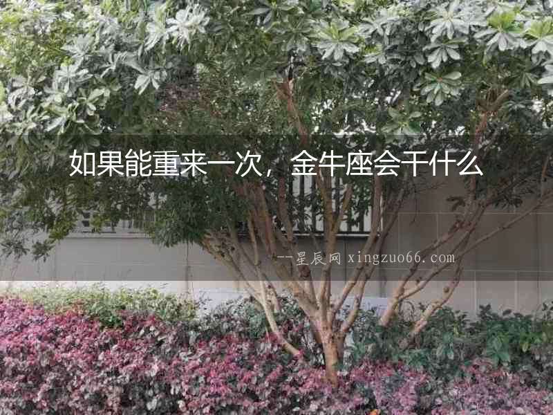 如果能重來(lái)一次，金牛座會(huì)干什么