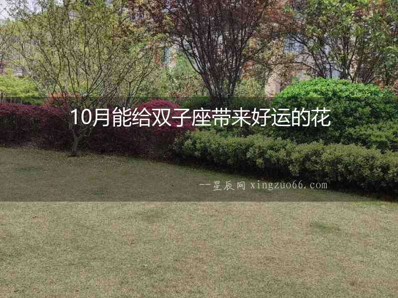 10月能給雙子座帶來(lái)好運(yùn)的花