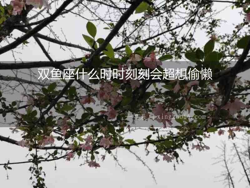 雙魚座什么時(shí)時(shí)刻刻會(huì)超想偷懶