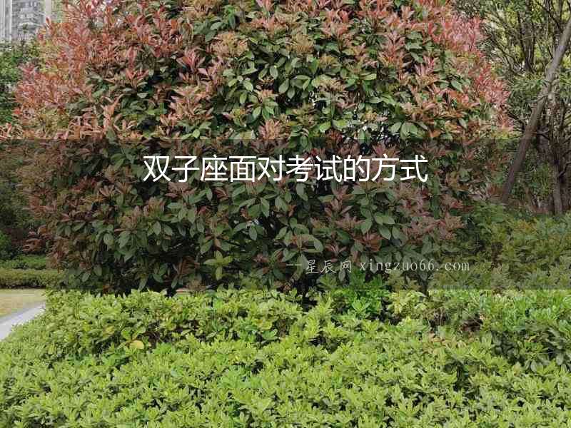 雙子座面對考試的方式