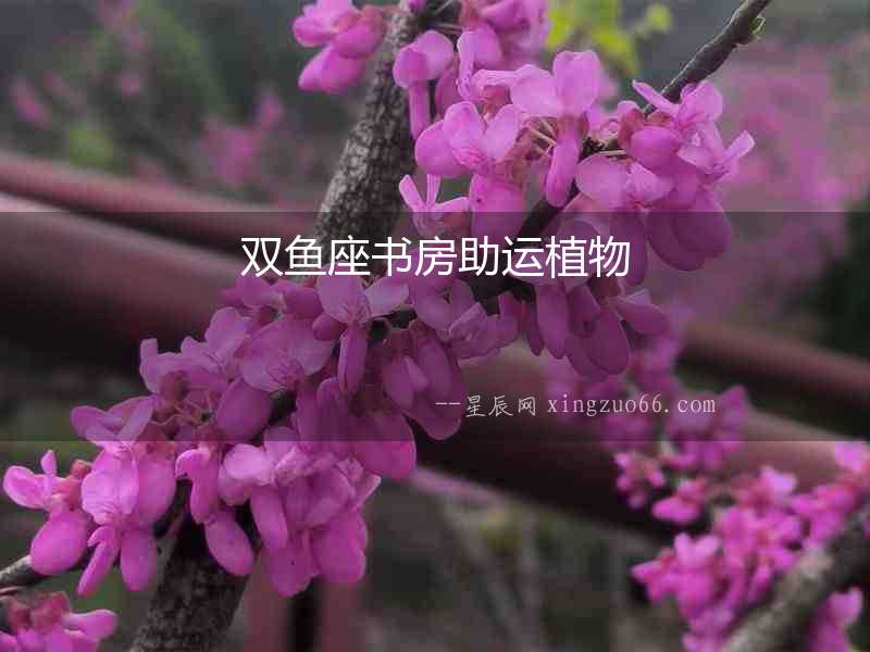 雙魚座書房助運植物