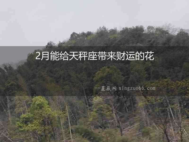 2月能給天秤座帶來財運的花