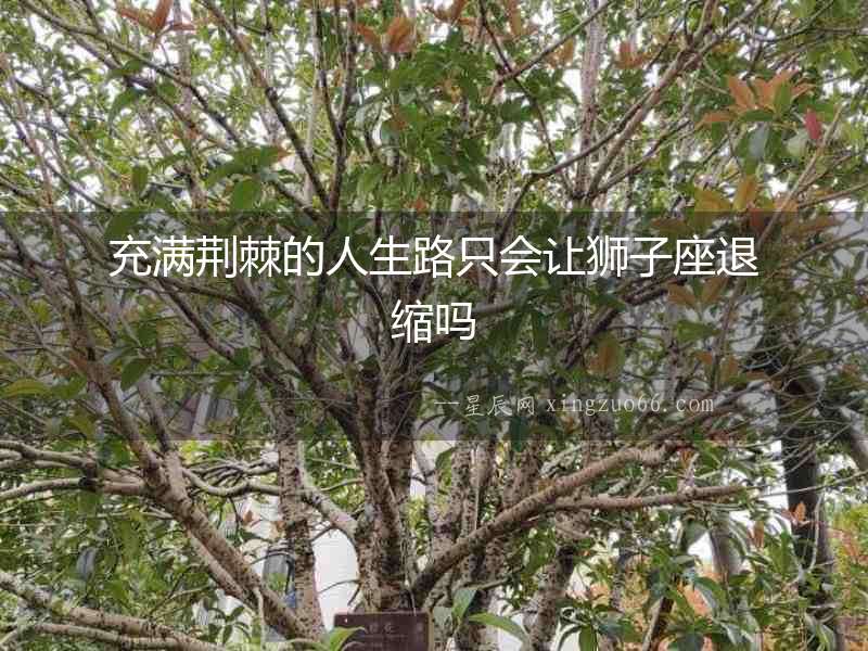 充滿荊棘的人生路只會讓獅子座退縮嗎