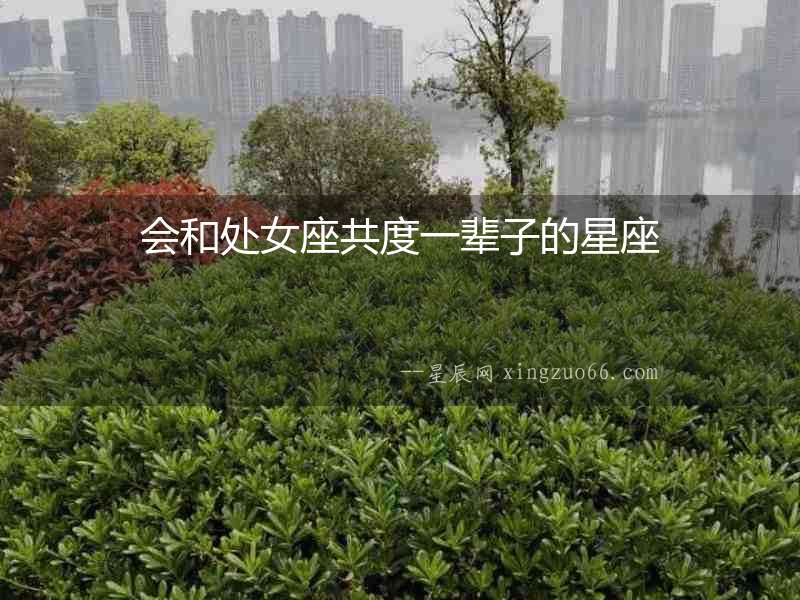 會和處女座共度一輩子的星座