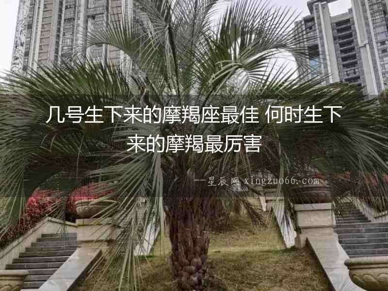 幾號生下來的摩羯座最佳 何時生下來的摩羯最厲害