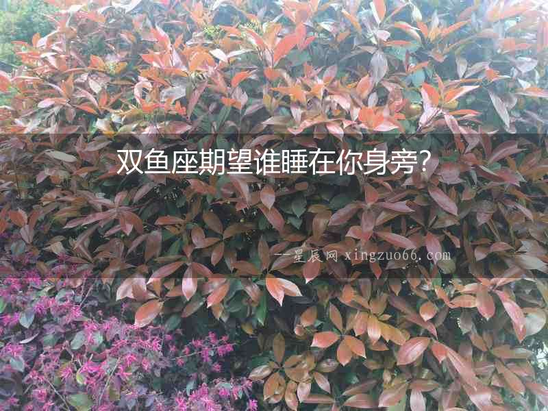 雙魚座期望誰睡在你身旁？